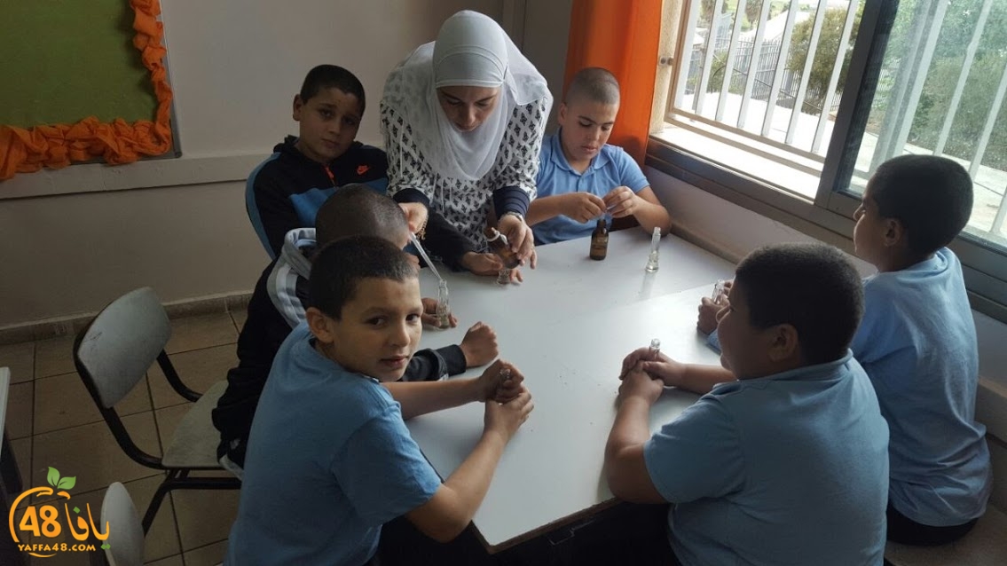 cimikal day (12).jpg